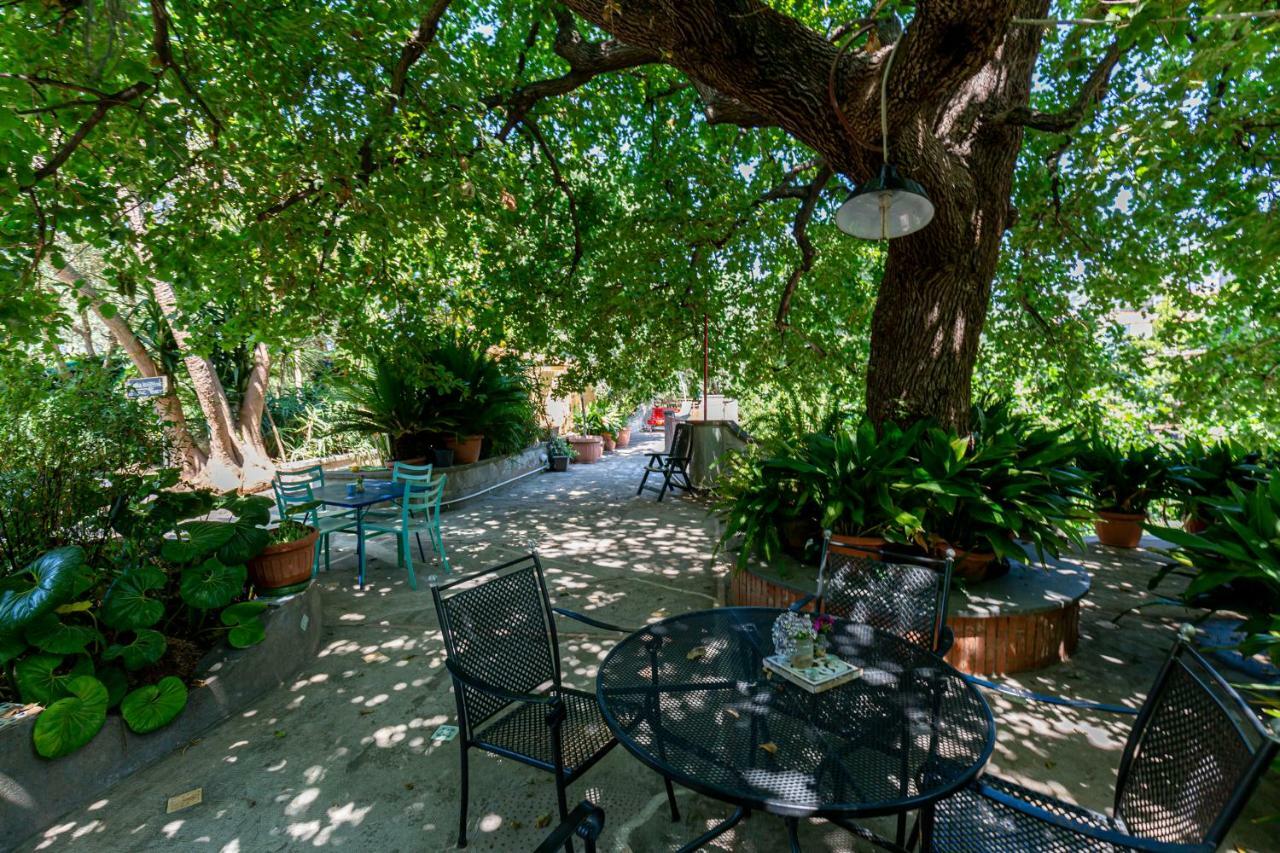 Villa La Quercia ميتا المظهر الخارجي الصورة